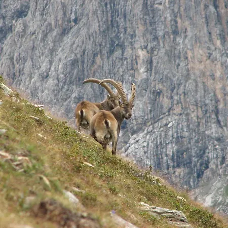 호텔 Fiorita 산타카테리나발루프바